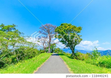 宮崎縣高千穗町夏季國見丘展望台 宮崎縣高千穗町夏季國見丘展望台 118440241