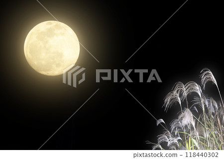 觀賞月亮的背景資料，帶有夢幻般的潘帕斯草模糊和收穫月的滿月 118440302