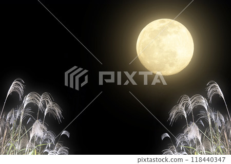 美麗的中秋月亮的賞月背景，模糊的滿月和潘帕斯草 118440347