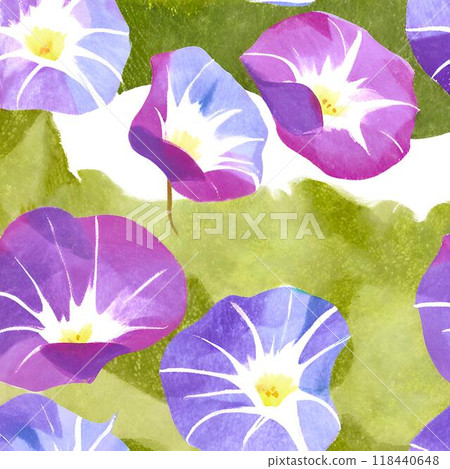 水彩牽牛花 水彩牽牛花 118440648