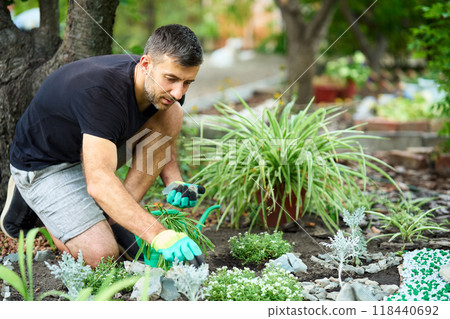 Gardener decorate flower beds in his garden with decorative gravel Gardener decorate flower beds in his garden with decorative gravel 118440692