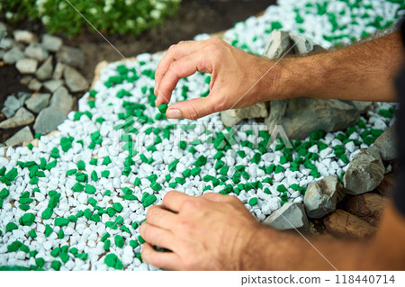 Gardener decorate flower beds in his garden with decorative gravel 118440714