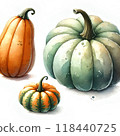 Three orange and green pumpkins 118440725