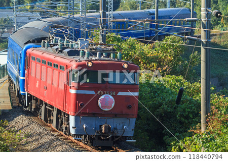 長崎本線臥舖特快「櫻花號」（復興運行） 118440794