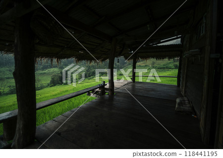View of rice fields from the balcony,Rice field view from balcony, nature background View of rice fields from the balcony,Rice field view from balcony, nature background 118441195