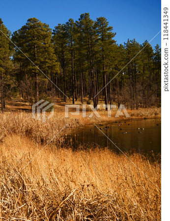 Lake of the Woods Arizona Lake of the Woods Arizona 118441349