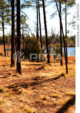 Lake of the Woods Arizona 118441350