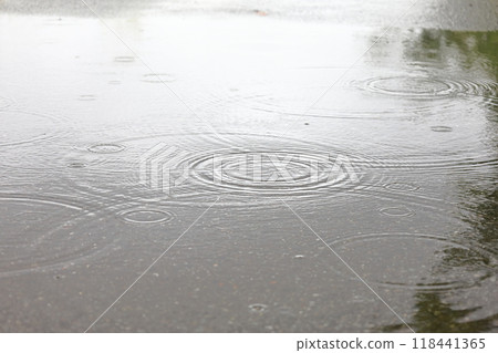 Rain Ripples 118441365