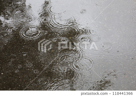 Rain Ripples 118441366
