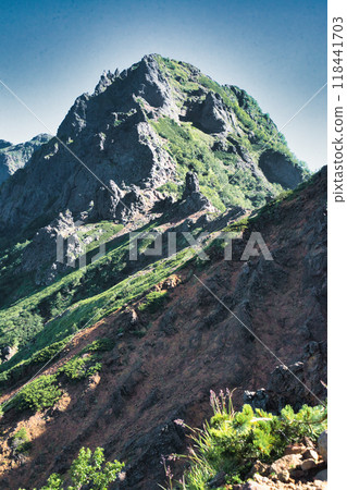 Mount Tsurugi emerges from the sea of clouds 118441703