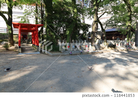 A view of Takakura Inari Daimyojin Shrine near Kokura Castle in Kitakyushu, Fukuoka Prefecture 118441853