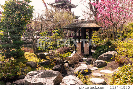 Garden in Japanese style with a gazebo and cherry blossoms. Garden in Japanese style with a gazebo and cherry blossoms. 118441930