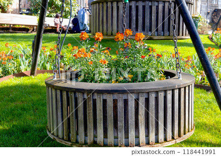 Wooden flowerbed with marigold flowers in a park Wooden flowerbed with marigold flowers in a park 118441991