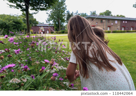 Little girl with long brown hair picking wild flowers 118442064