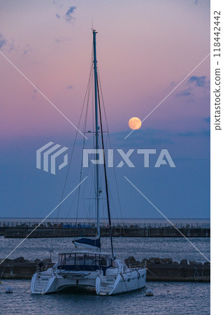 [Shizuoka Prefecture] The harvest moon rising over Atami Port 118442442