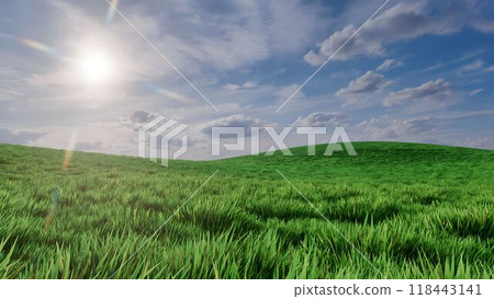 Lush fresh green grass on empty field under blue cloudy sky at sunny spring day. With no people springtime or summer natural background 3D illustration from my own 3D render. Lush fresh green grass on empty field under blue cloudy sky at sunny spring day. With no people springtime or summer natural background 3D illustration from my own 3D render. 118443141