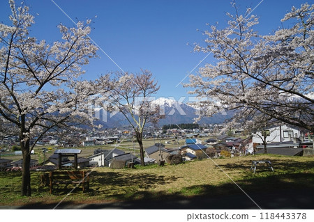 從仙國街道(鹽路)眺望盛開的櫻花和北阿爾卑斯山,大町市市民森林附近的田園風光 從仙國街道(鹽路)眺望盛開的櫻花和北阿爾卑斯山,大町市市民森林附近的田園風光 118443378