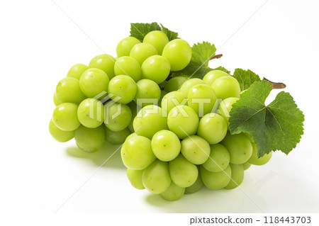 White background shine muscat White background shine muscat 118443703