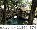 Izumi Shrine 118444574