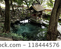 Izumi Shrine 118444576