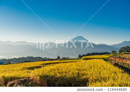 [山梨縣]收穫季節的中野梯田和日出時的富士山 118444680