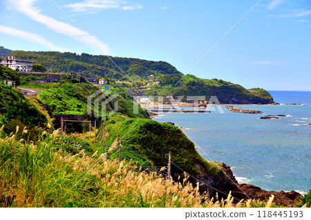 View of Kasashima Beach (Kashiwazaki City, Niigata Prefecture) [September 2024] 118445193