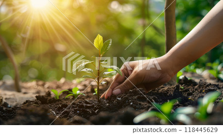 Fostering Growth and Greenery, One Plant at a Time 118445629
