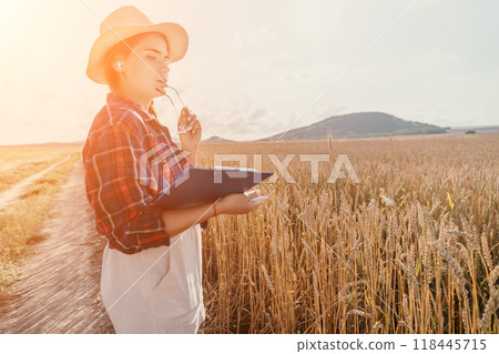 Woman wheat field. Agronomist, Woman farmer check golden ripe barley spikes in cultivated field. Closeup of female hand on plantation in agricultural crop management concept. Slow motion Woman wheat field. Agronomist, Woman farmer check golden ripe barley spikes in cultivated field. Closeup of female hand on plantation in agricultural crop management concept. Slow motion 118445715