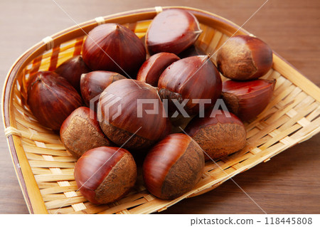 板栗果 板栗果 118445808