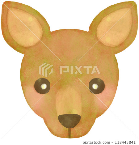 Cute kangaroo face illustration 118445841