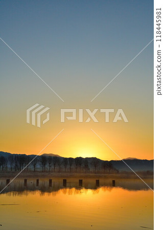 早上福島多拉（新潟） 118445981