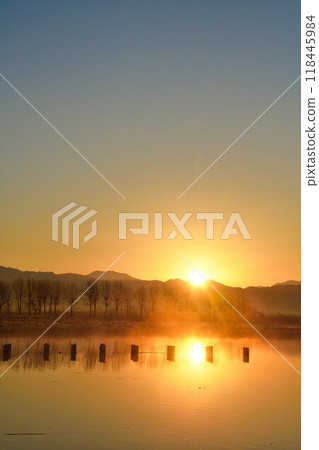 早上福島多拉（新潟） 118445984