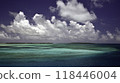 Beautiful sea 118446004