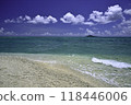 Beautiful sea 118446006