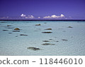 Beautiful sea 118446010