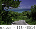 Beautiful sea 118446014