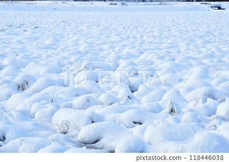 雪域田園風光（新潟縣） 118446038