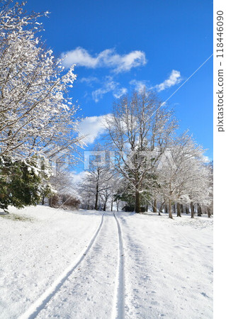 冬天的上潟公園（新潟縣） 118446090