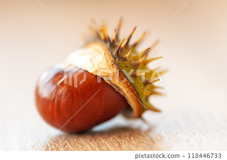 Close-up of an chestnut 118446733