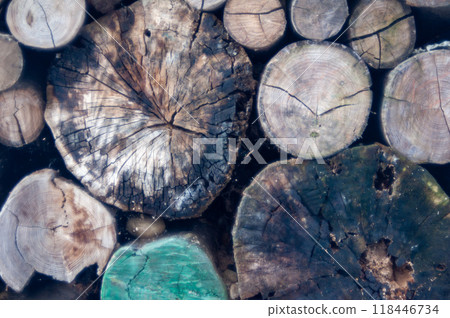 Pile of wood logs Pile of wood logs 118446734