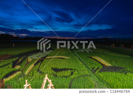 Illuminated rice field art in Kikugawa City (Shizuoka Prefecture) Illuminated rice field art in Kikugawa City (Shizuoka Prefecture) 118446784