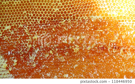 Bee honeycombs. Honeycomb texture. Close up view of honey cells. Natural texture Bee honeycombs. Honeycomb texture. Close up view of honey cells. Natural texture 118446950
