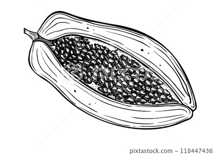 Vector half of Papaya. Hand painted illustration of Exotic tropical Fruit on isolated background. Linear drawing of healthy dessert. Black Etching of pawpaw for product packaging design. Vector half of Papaya. Hand painted illustration of Exotic tropical Fruit on isolated background. Linear drawing of healthy dessert. Black Etching of pawpaw for product packaging design. 118447436