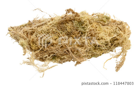 Sphagnum moss for orchids on a white isolated background, close up 118447803