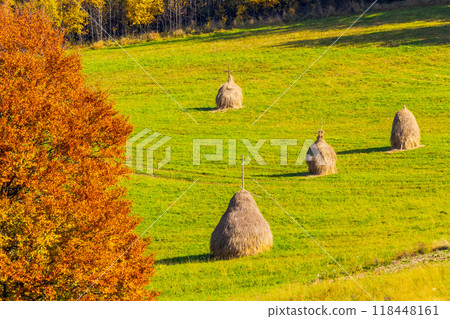 haystack on the grassy field in autumn. rural landscape in carpathian mountains. warm sunny afternoon weather. organic agriculture symbol 118448161