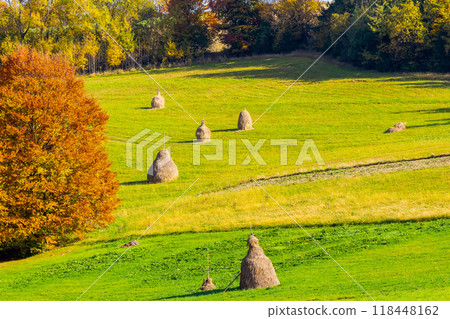 haystack on the grassy field in autumn. rural landscape in carpathian mountains. warm sunny afternoon weather. traditional countryside scenery 118448162