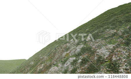 nature grass meadow land lush greenery landscape lawn isolated background. meadow green hill plant beautiful spring mountain park environment 3d render. grass plant field summer travel outdoor. 118448808