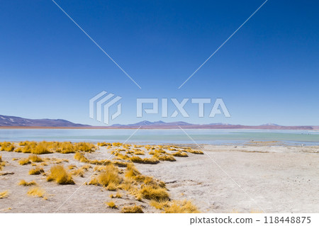 Bolivian lagoon landscape,Bolivia 118448875