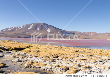 Laguna Colorada view, Bolivia Laguna Colorada view, Bolivia 118448881