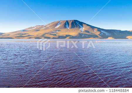 Laguna Colorada view, Bolivia 118448884